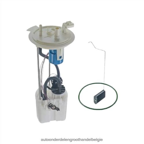 auto-onderdelen winkel - Brandstofpompmodule e2582m p76865m sp2474m bc3z9h307d voor ford 44L8JD813