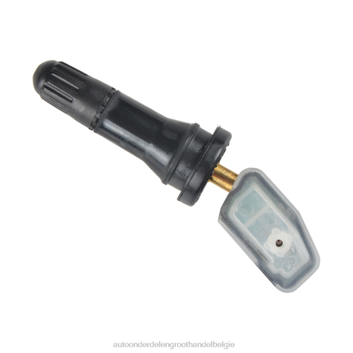 auto-onderdelen winkel - Tpms hanteng bandenspanningsensor 3617020001m11 R6RP2641